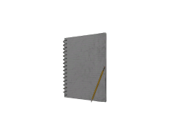 Livre d'Ecriture Fantomatique T1