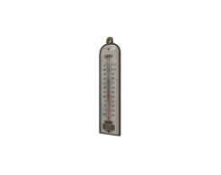 Thermometre T1